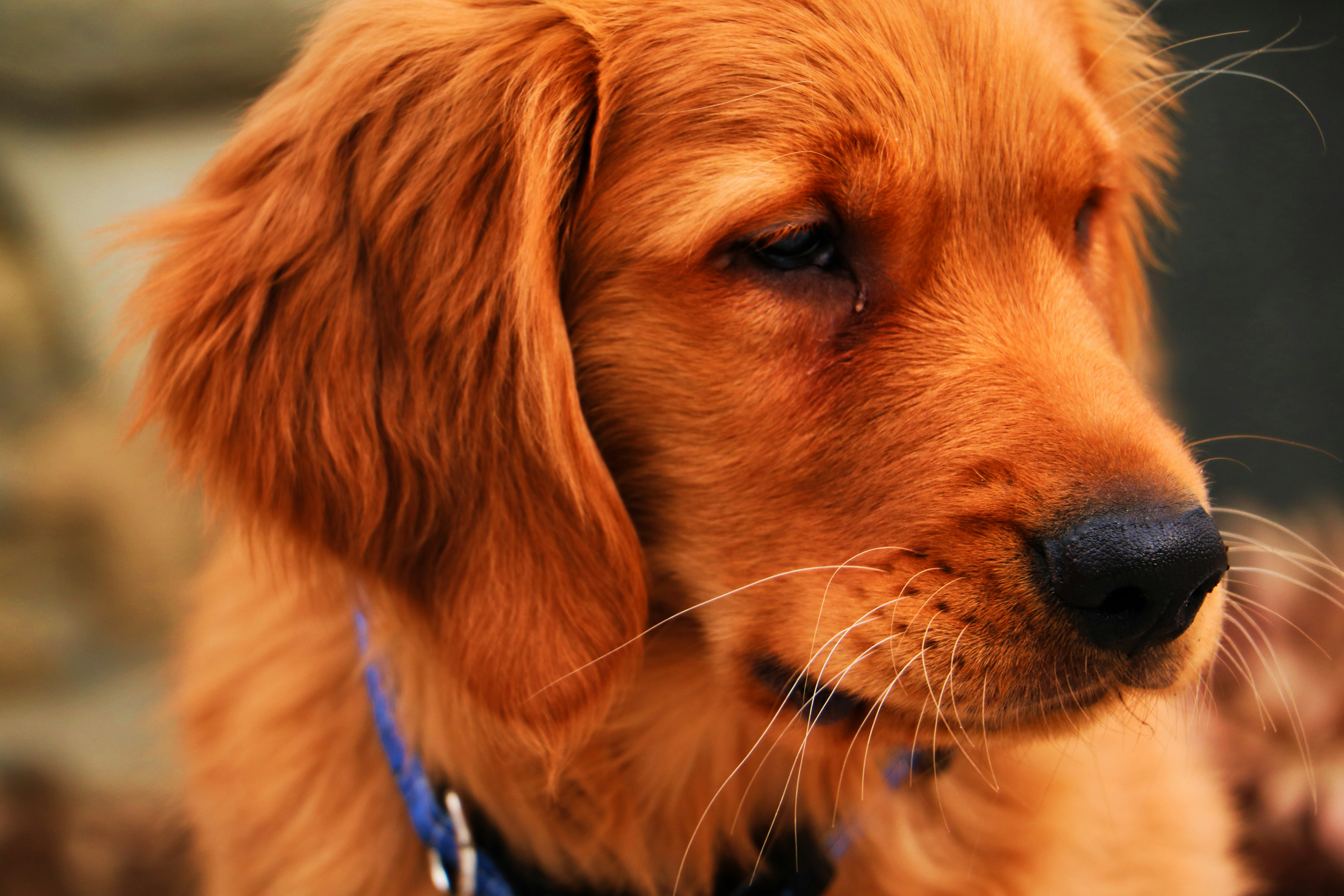 Free Unsplash photo from Andrew Walton