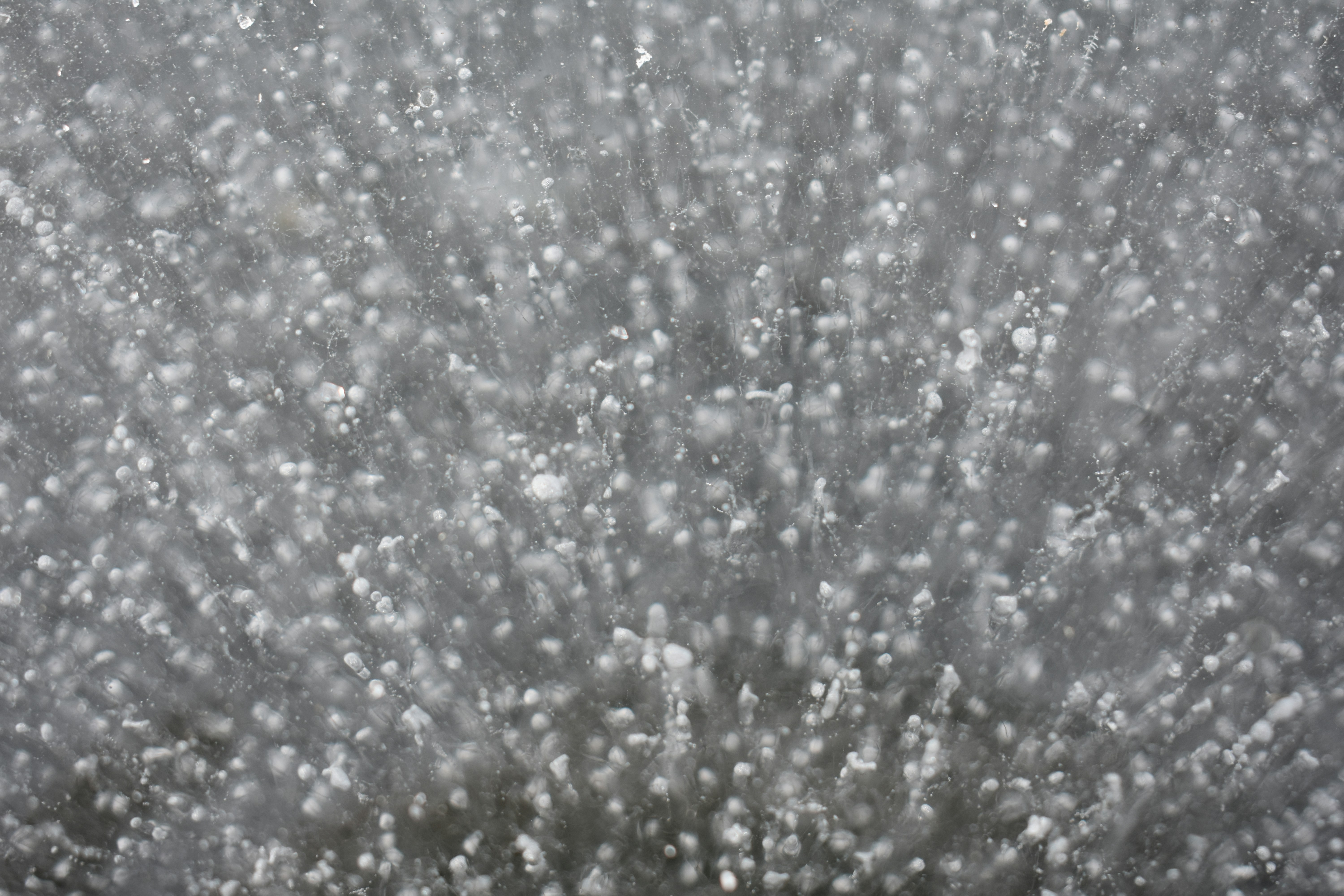 Free Unsplash photo from Sydney Bertram