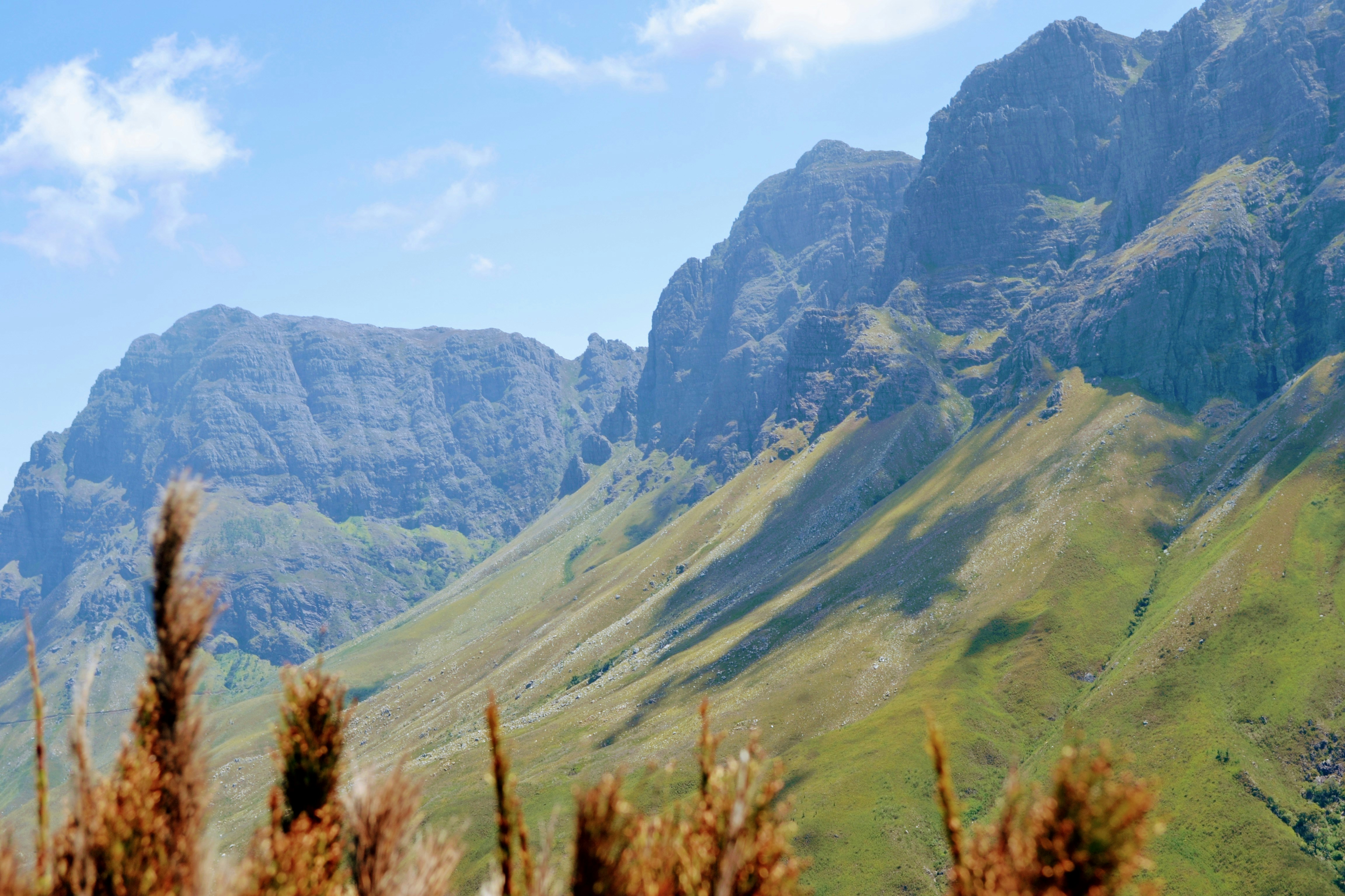 Free Unsplash photo from Andrew Forte