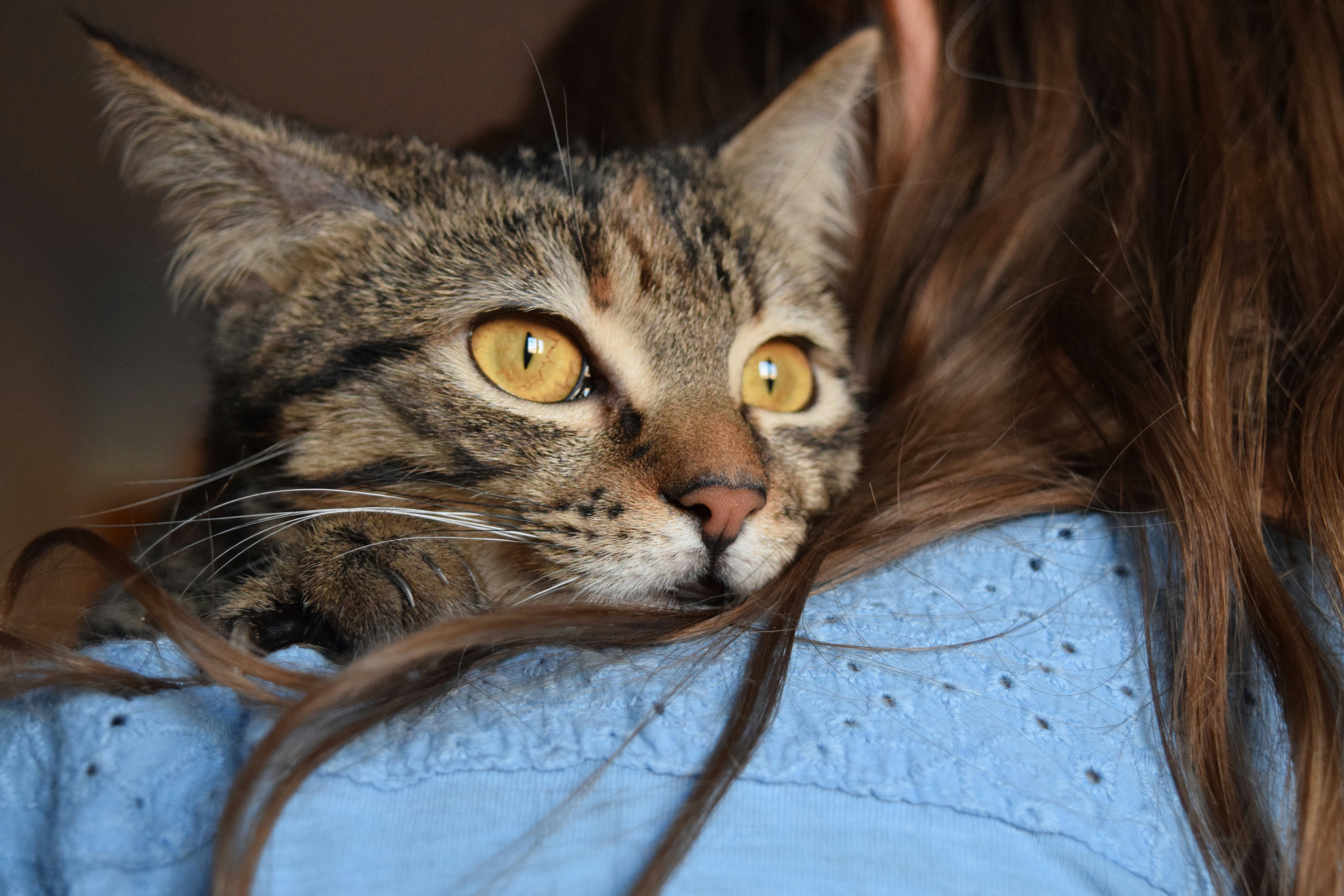 Free Unsplash photo from Lucia Velez