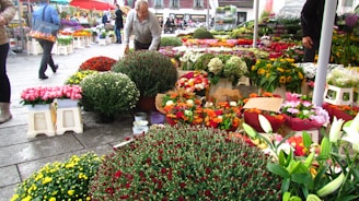 A bustling outdoor market is filled with a wide variety of colorful flowers arranged in pots and bouquets. People are walking around and tending to the flowers, creating a lively atmosphere. The scene captures the diversity of blooms, including roses, lilies, sunflowers, and chrysanthemums, with vibrant colors enriching the market setting.