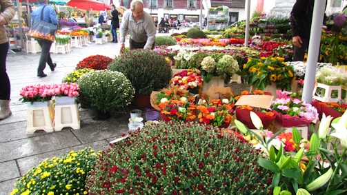 A bustling outdoor market is filled with a wide variety of colorful flowers arranged in pots and bouquets. People are walking around and tending to the flowers, creating a lively atmosphere. The scene captures the diversity of blooms, including roses, lilies, sunflowers, and chrysanthemums, with vibrant colors enriching the market setting.