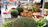 A vibrant display of colorful potted plants at a bustling outdoor market in Guadalajara.