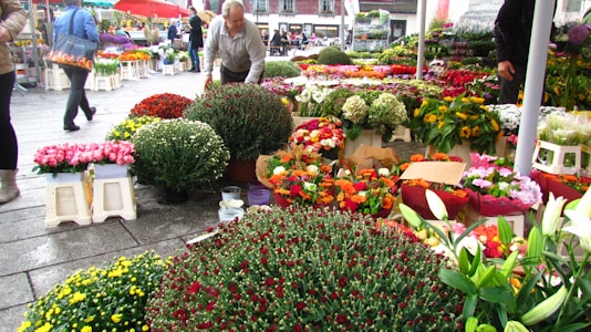 A bustling outdoor market is filled with a wide variety of colorful flowers arranged in pots and bouquets. People are walking around and tending to the flowers, creating a lively atmosphere. The scene captures the diversity of blooms, including roses, lilies, sunflowers, and chrysanthemums, with vibrant colors enriching the market setting.