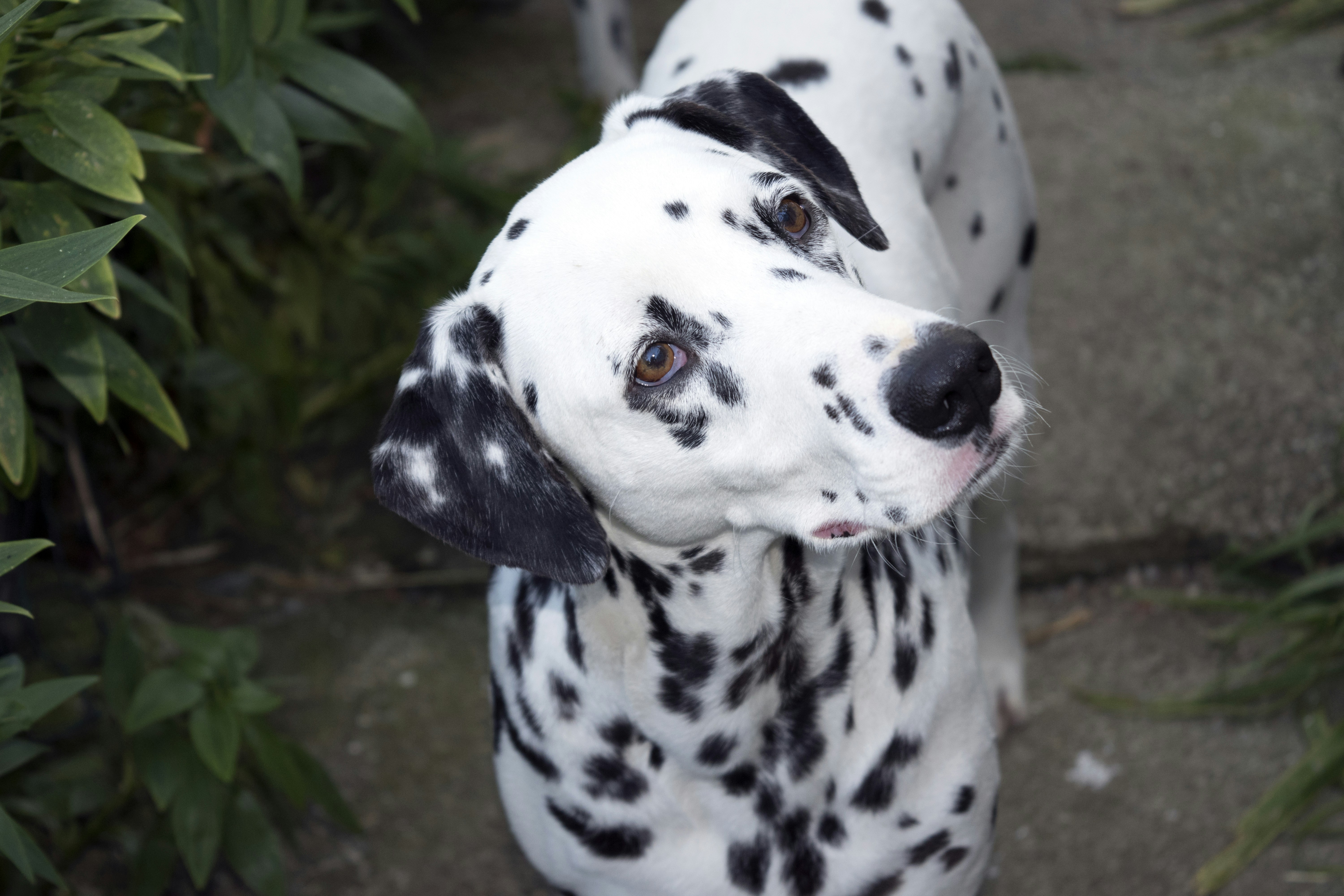 Free Unsplash photo from Márcio Vilar