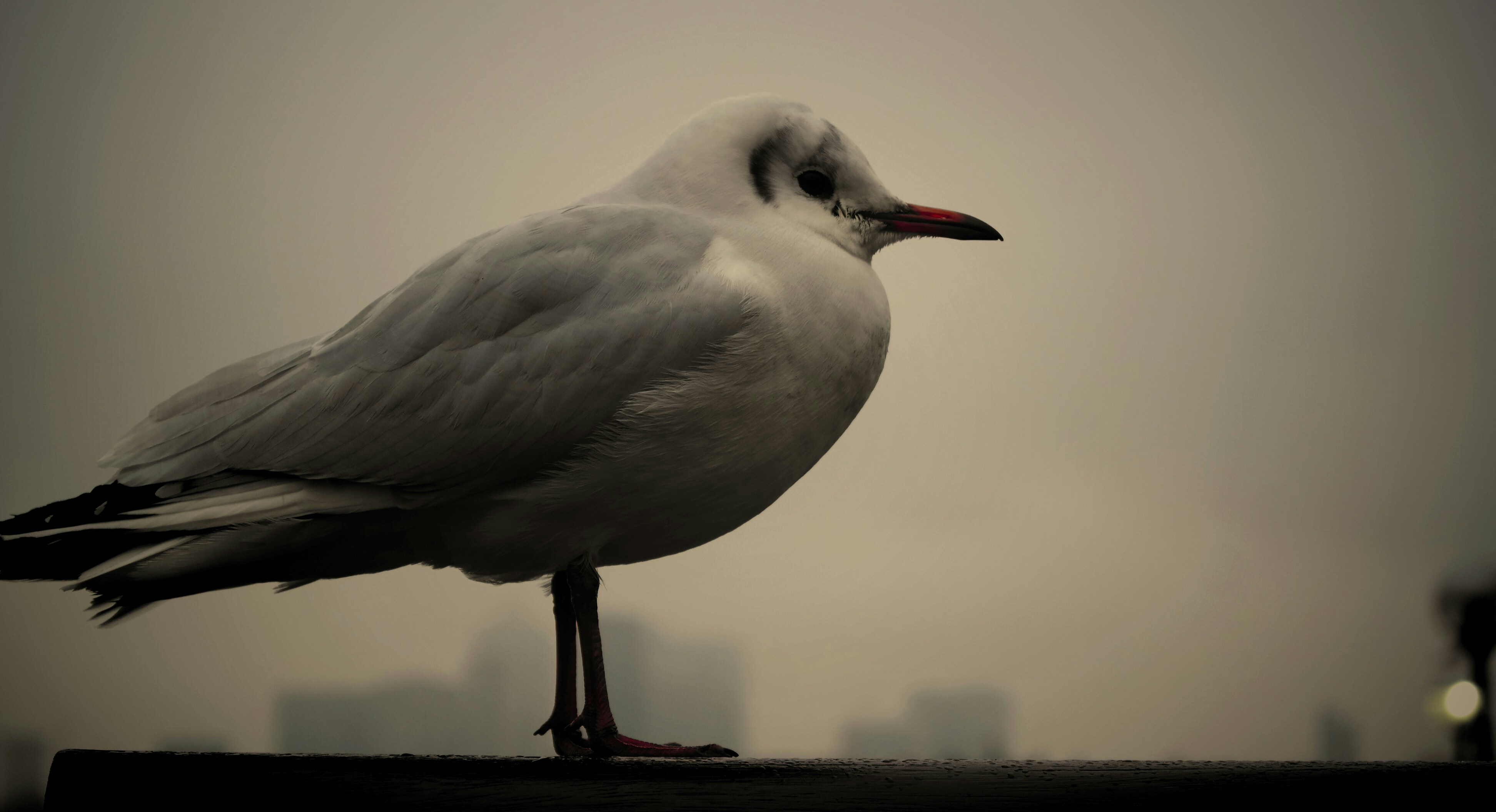 Free Unsplash photo from Ashton Miller