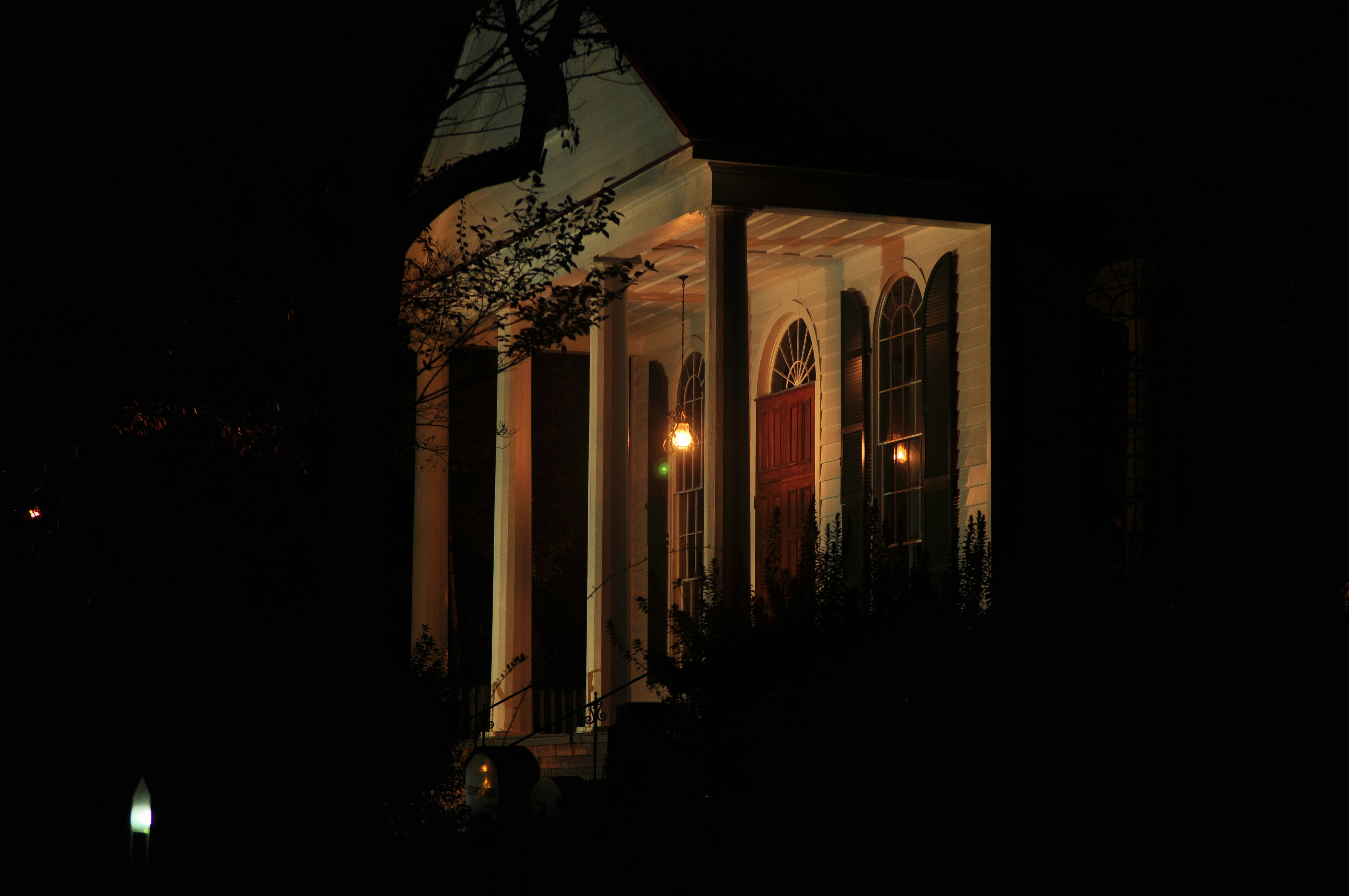 Free Unsplash photo from Joy Hunter