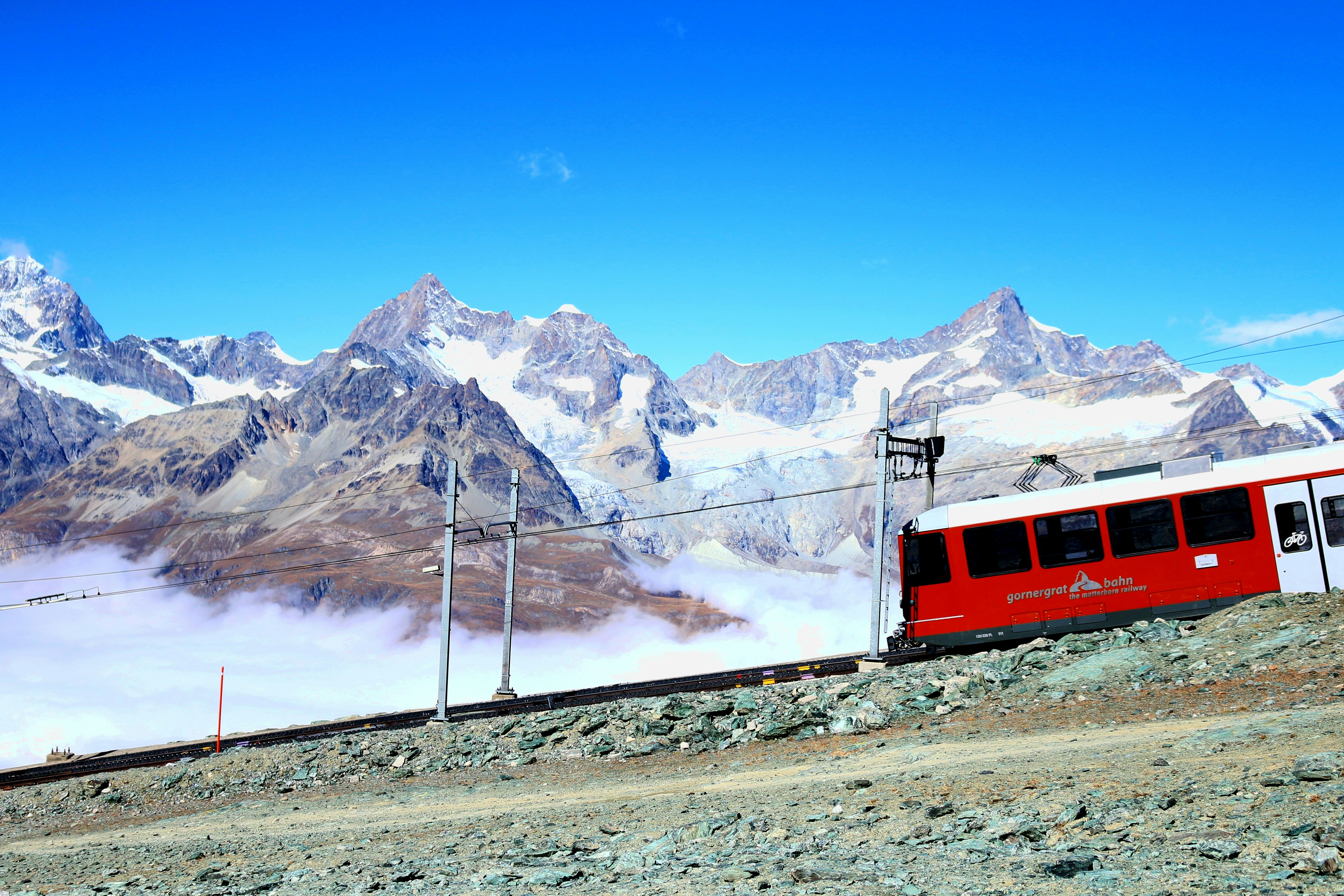 Free Unsplash photo from Kangaroo Court