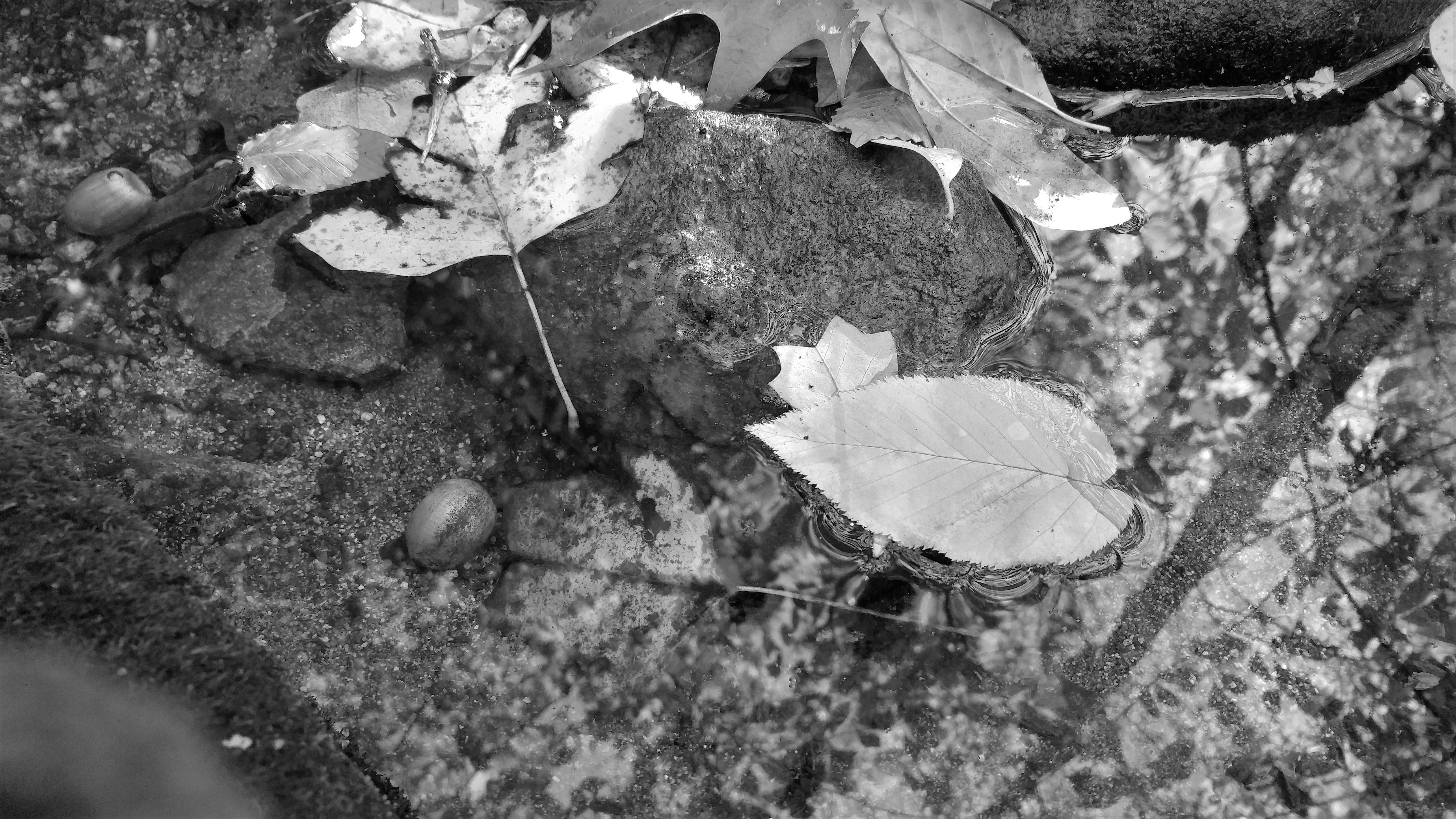 Free Unsplash photo from Bryan Carlson