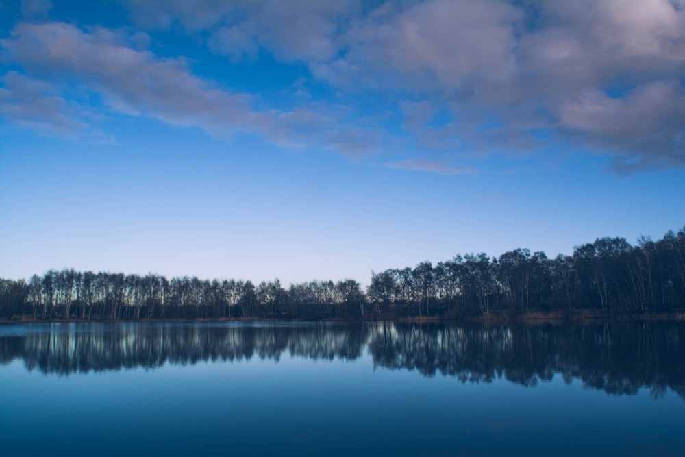 Plan d’eau entouré d’arbres