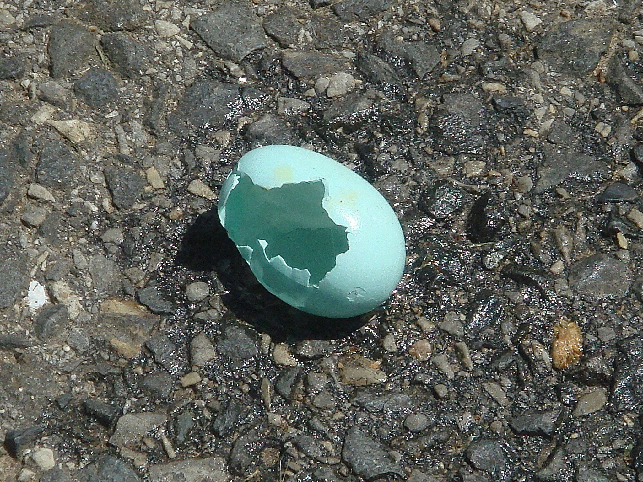 Free Unsplash photo from Jd Dworkow