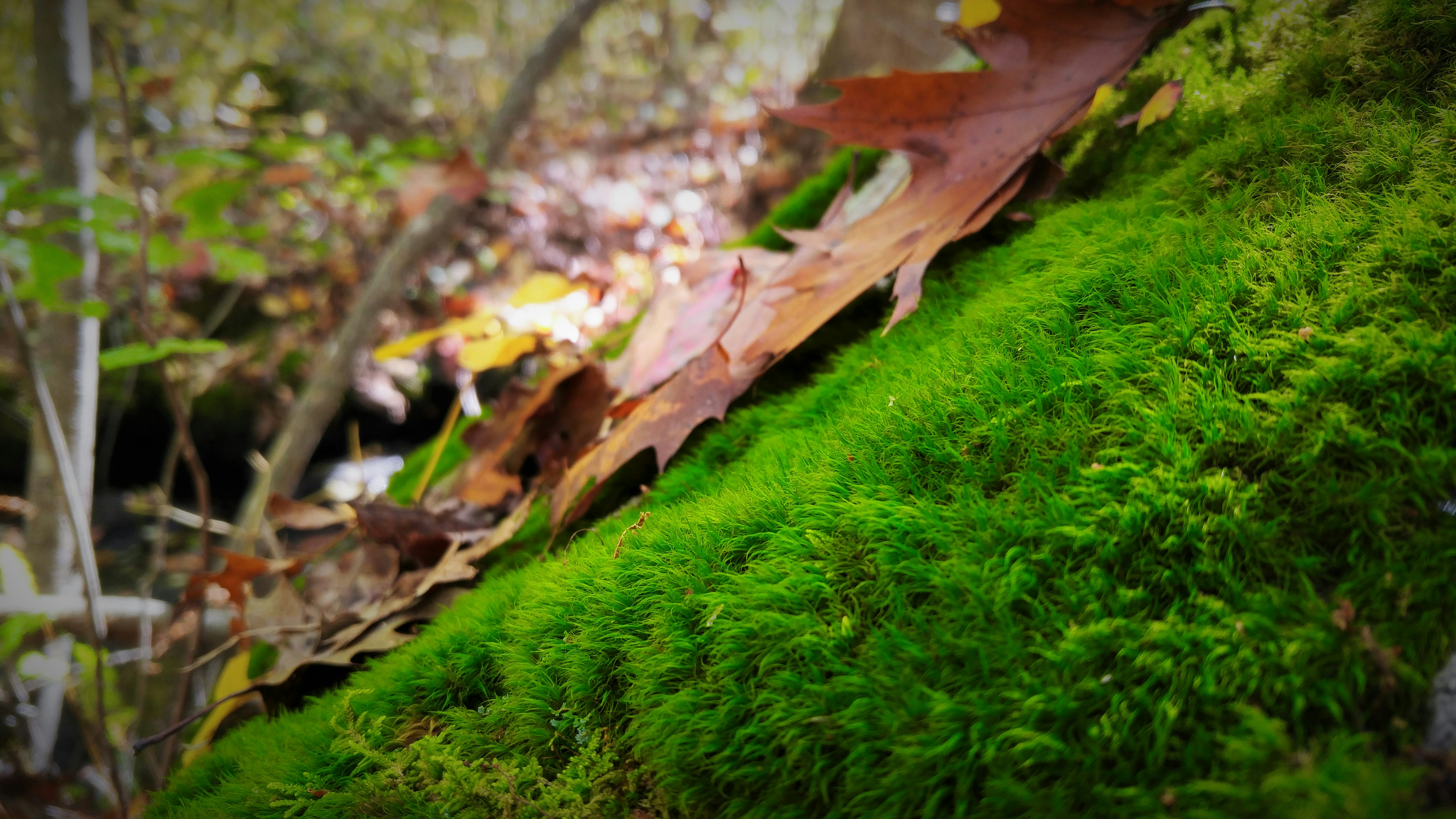 Free Unsplash photo from Bryan Carlson