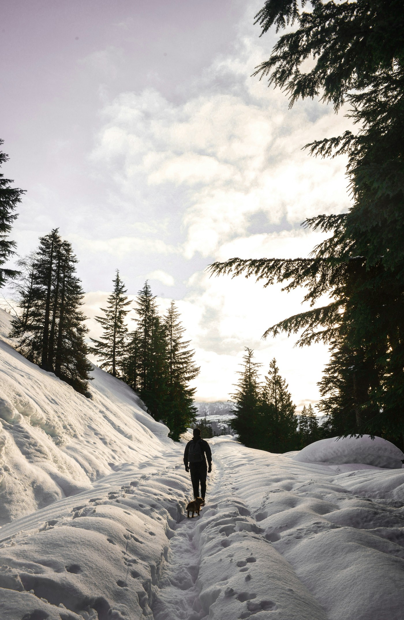 Free Unsplash photo from Daniel Mingook Kim