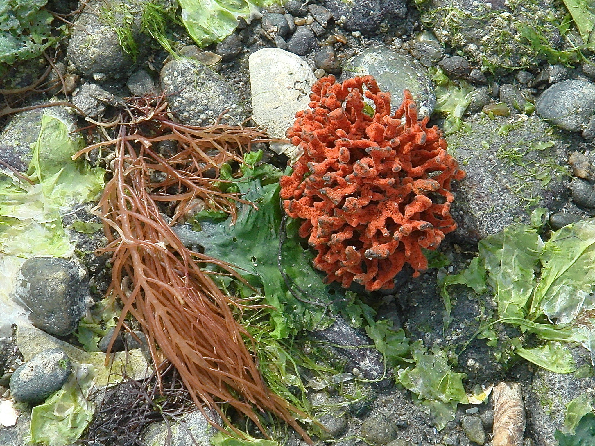 Free Unsplash photo from Jd Dworkow