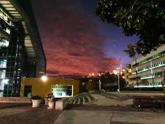 Exterior twilight shot highlighting the sleek architecture framed by native coastal plants