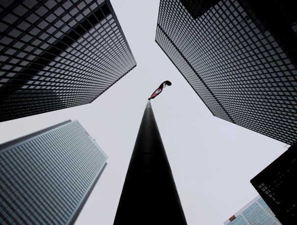 worm-view photography of high rise buildings