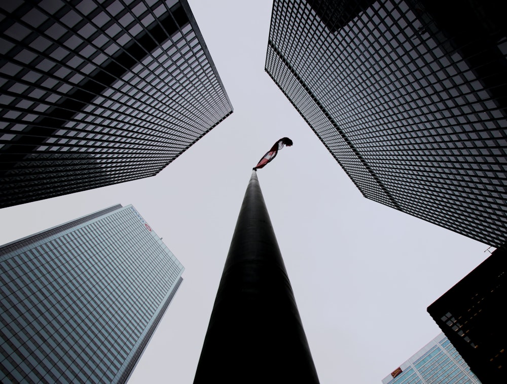 Photographie de vers de terre d’immeubles de grande hauteur