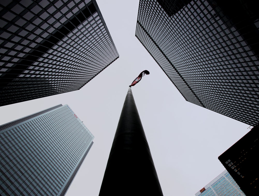 Fotografía con vista de gusano de edificios de gran altura
