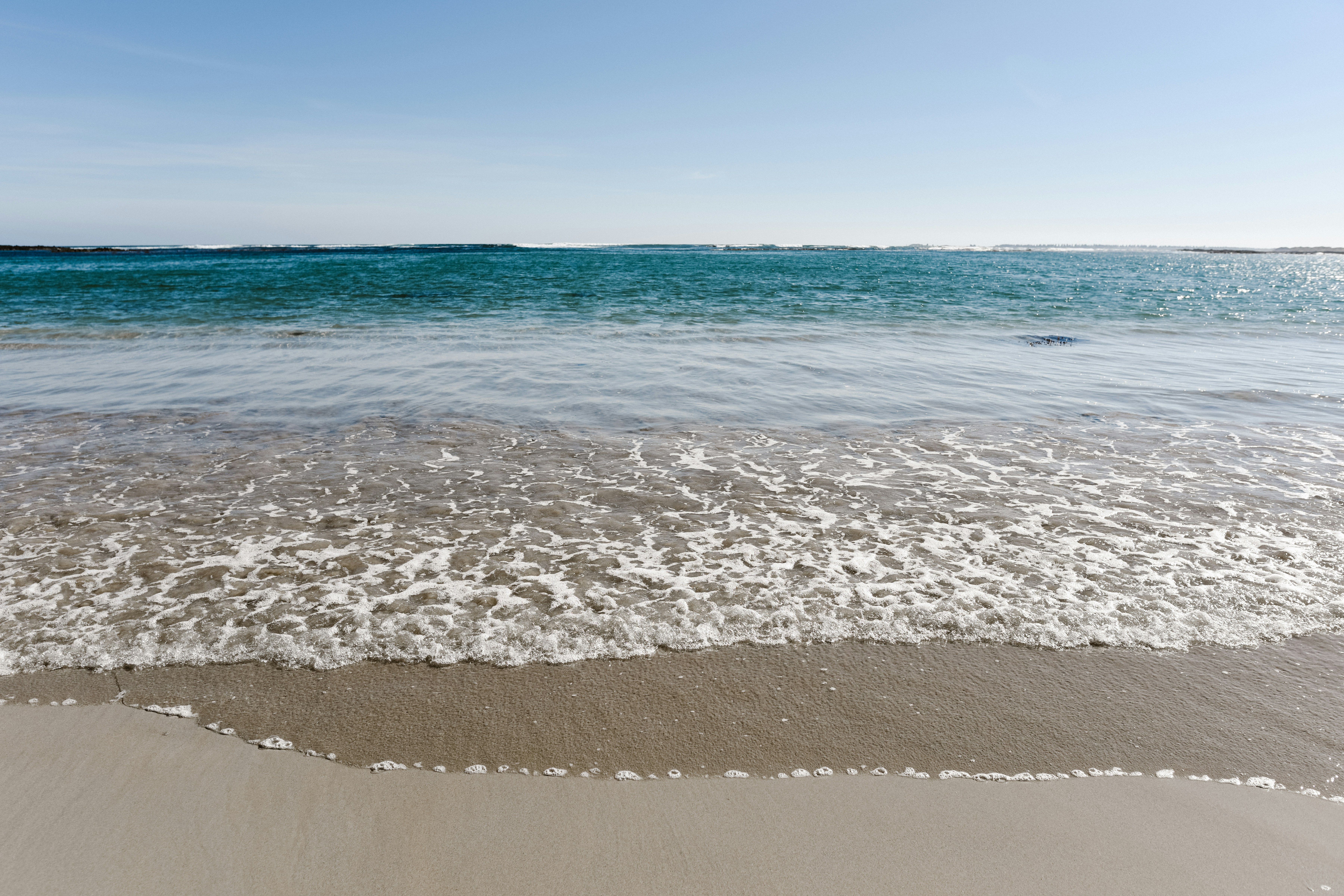 Free Unsplash photo from Trisha