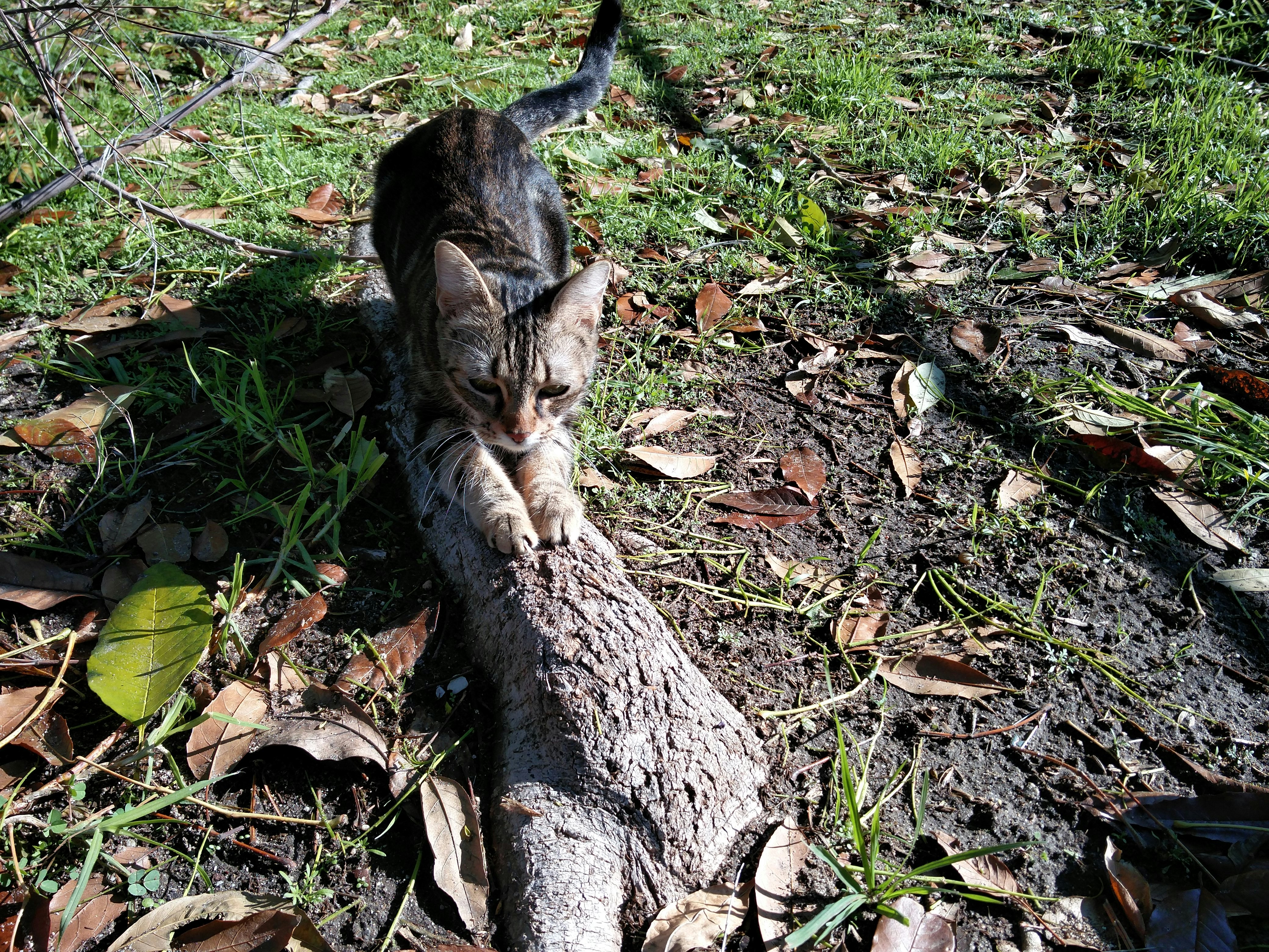 Free Unsplash photo from Gisselle Cosme