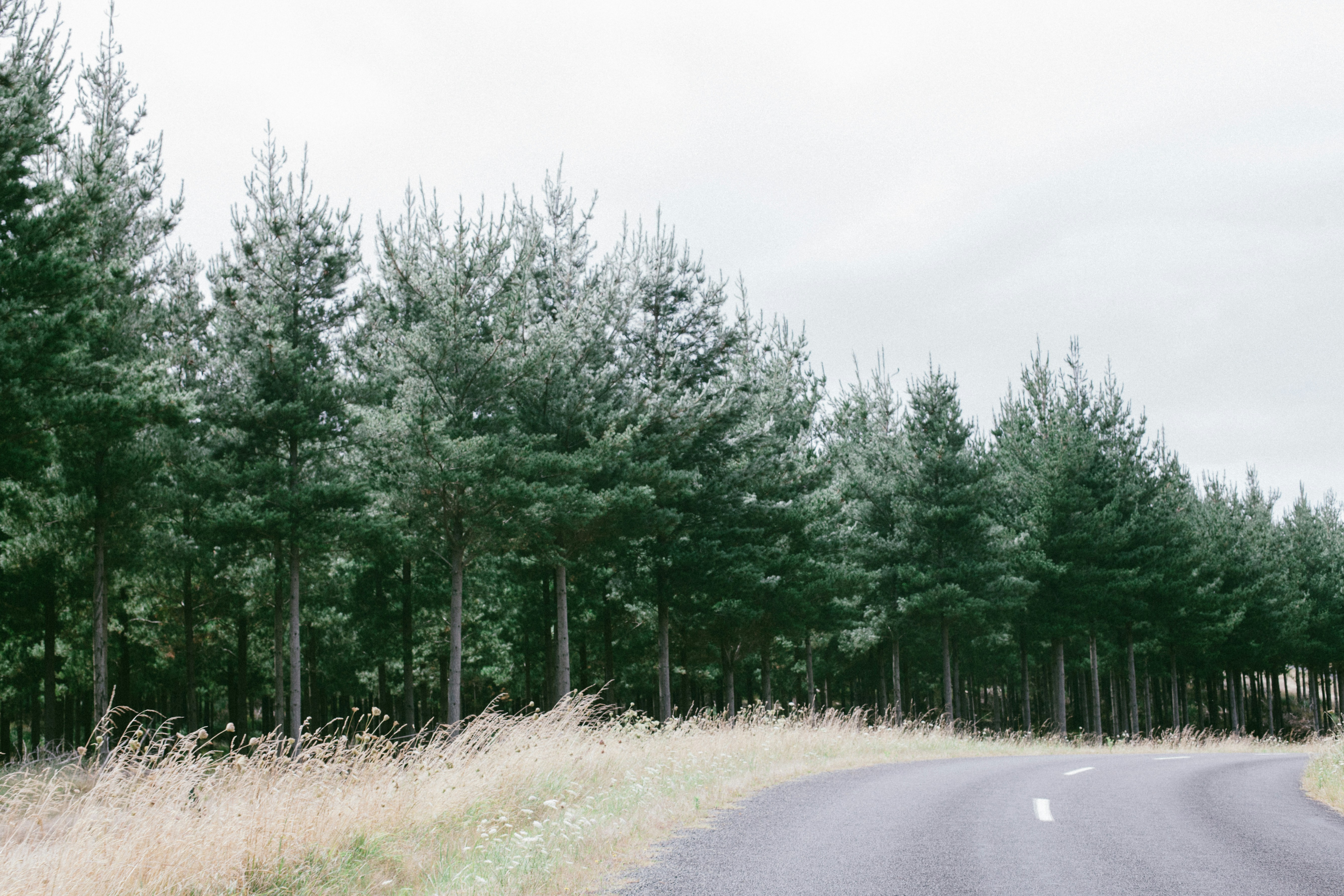 Free Unsplash photo from leonie wise