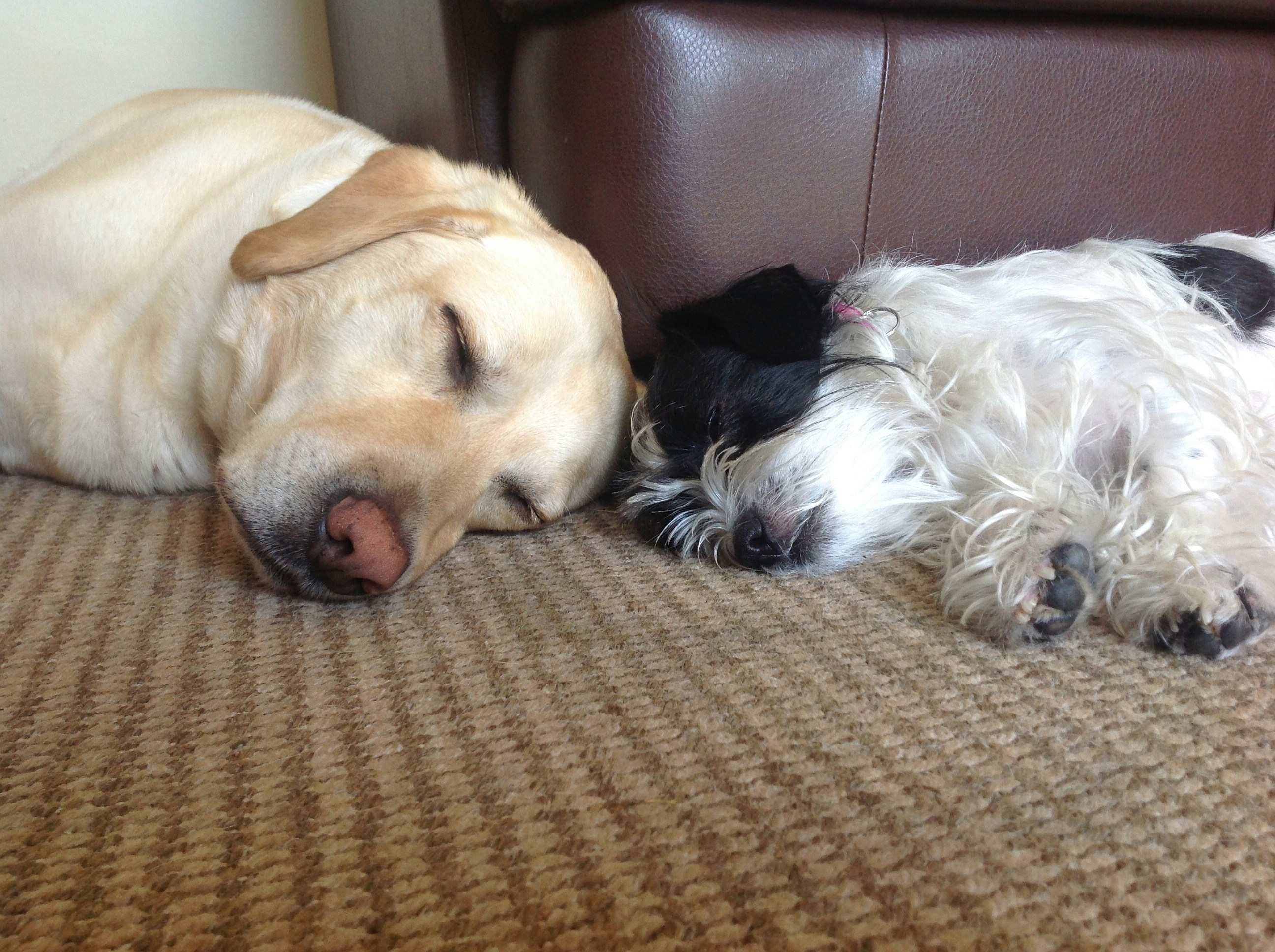 Free Unsplash photo from mark twomey