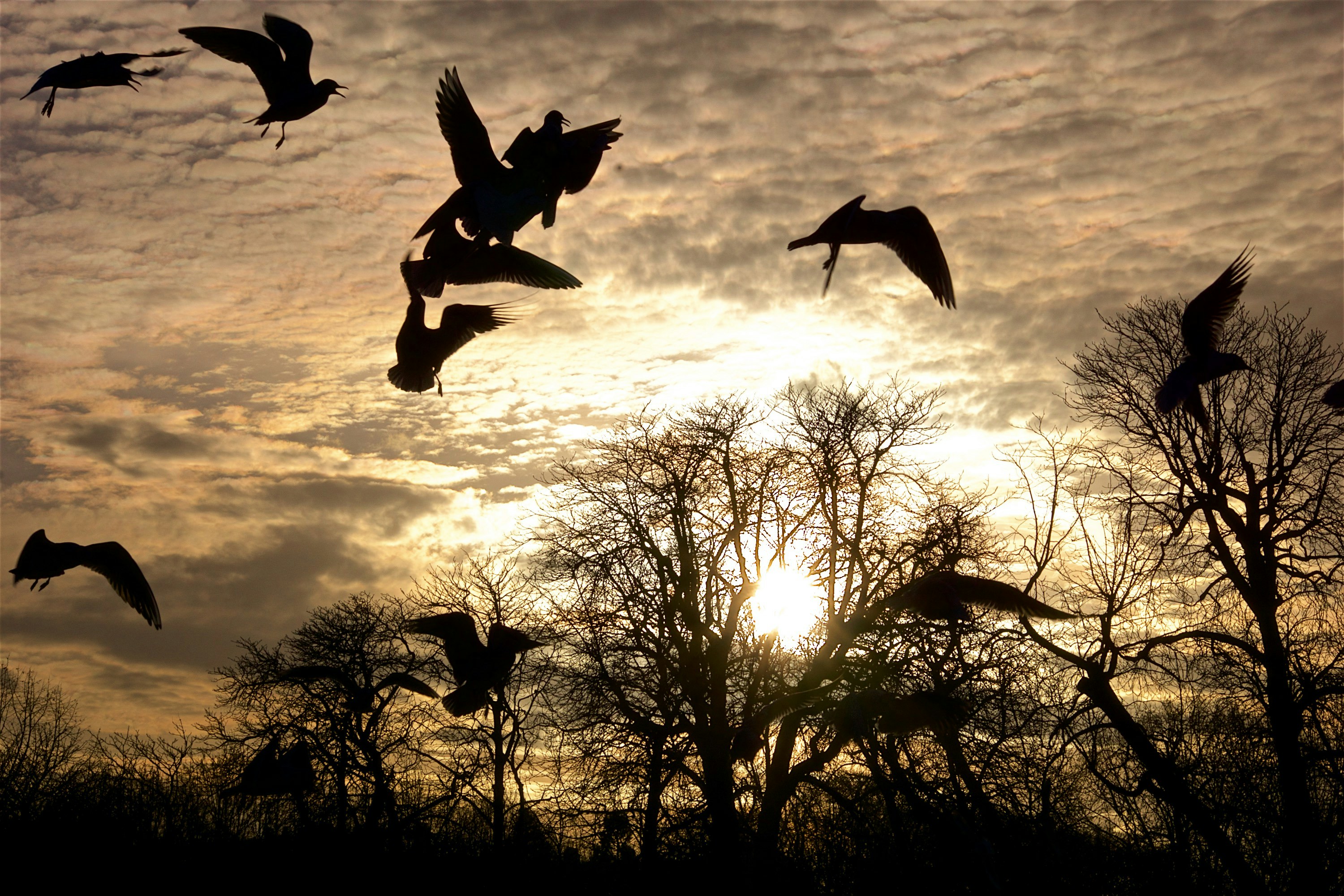 Free Unsplash photo from Ron Fox