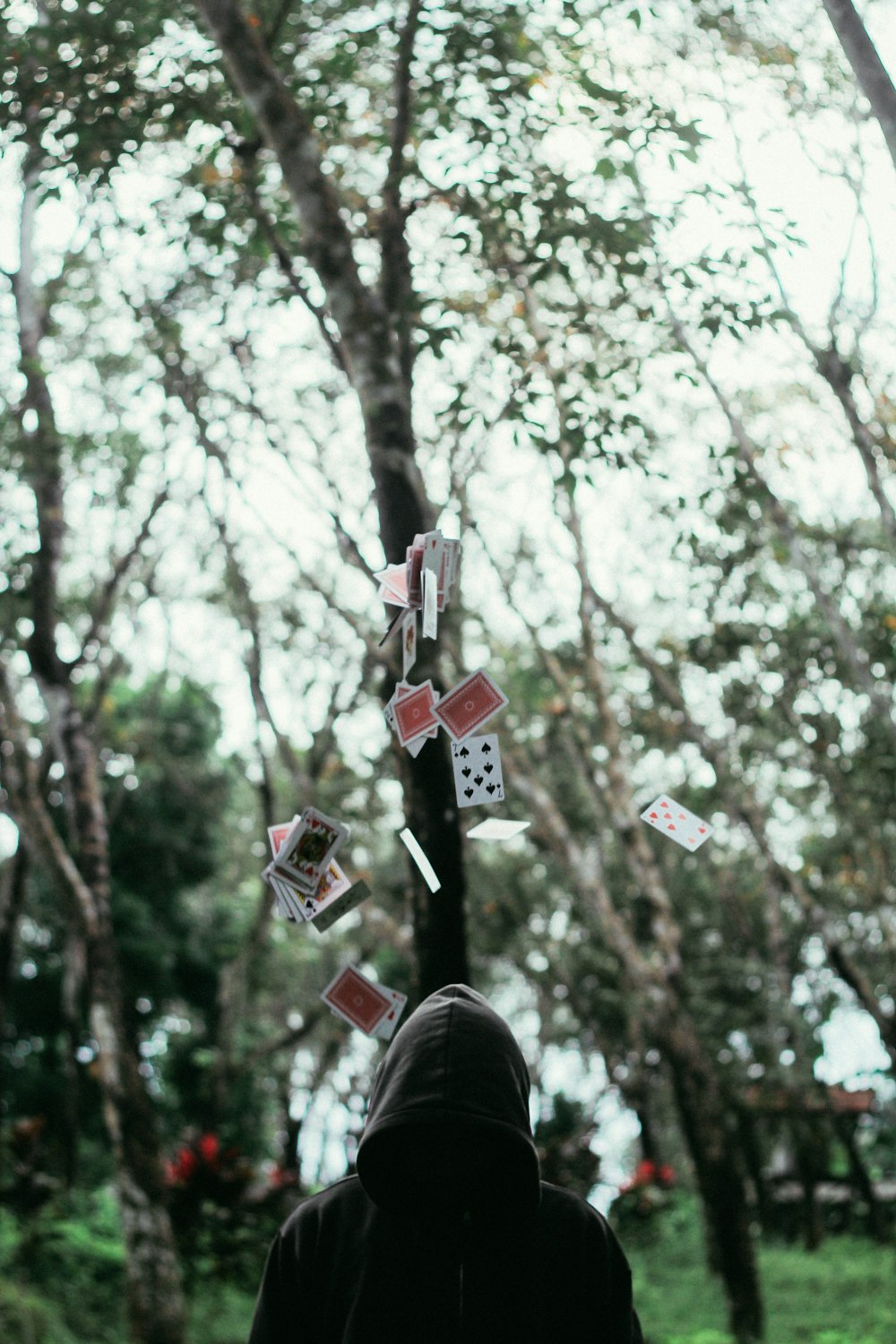 photography of man while using magic trick with playing cards