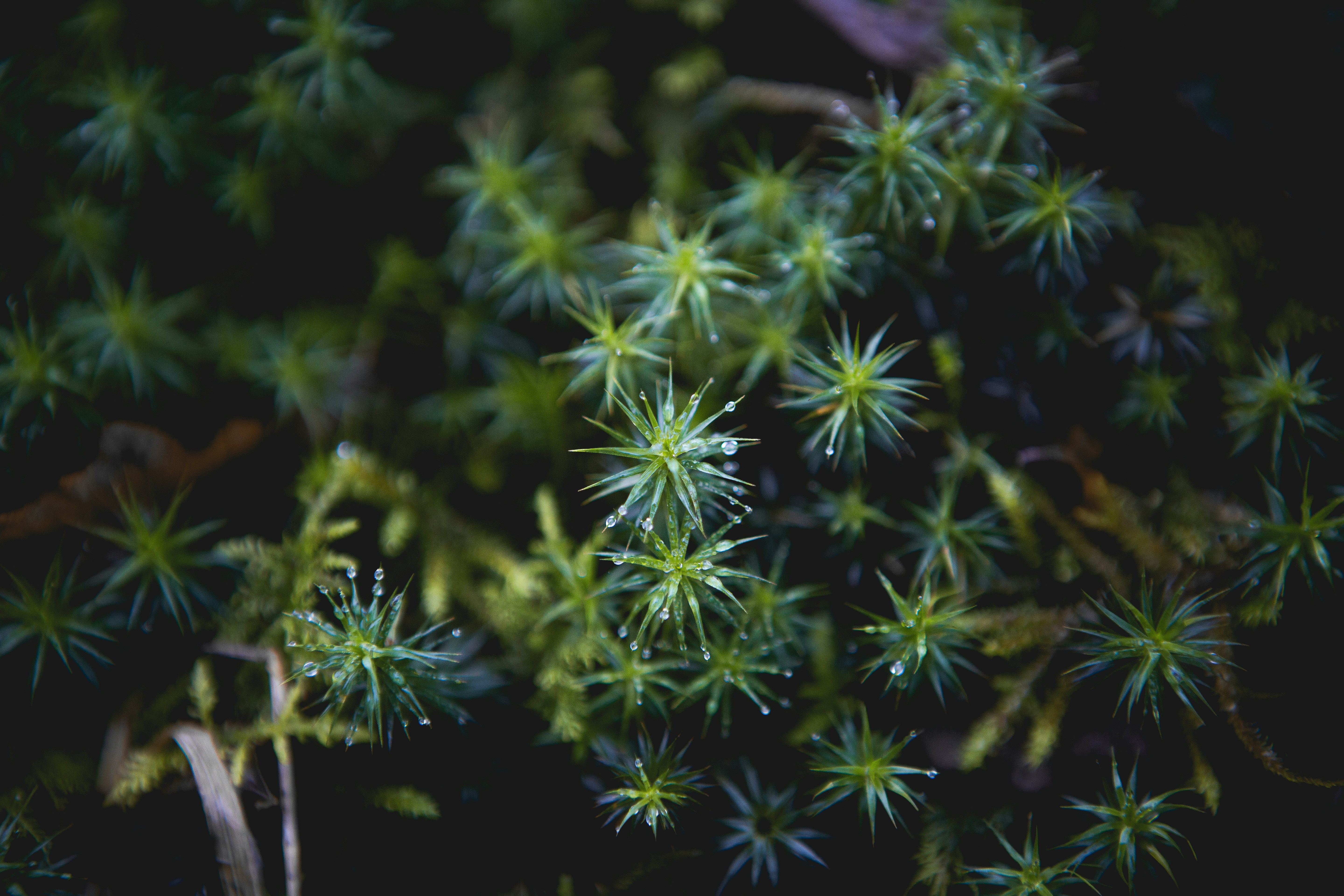 Free Unsplash photo from Sam Thompson