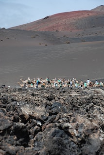 A rugged volcanic landscape with dark, textured rocks in the foreground. In the background, a line of camels with riders wearing vibrant clothing traverses the barren, rocky terrain. The sky is partly cloudy, casting subtle shadows on the landscape.