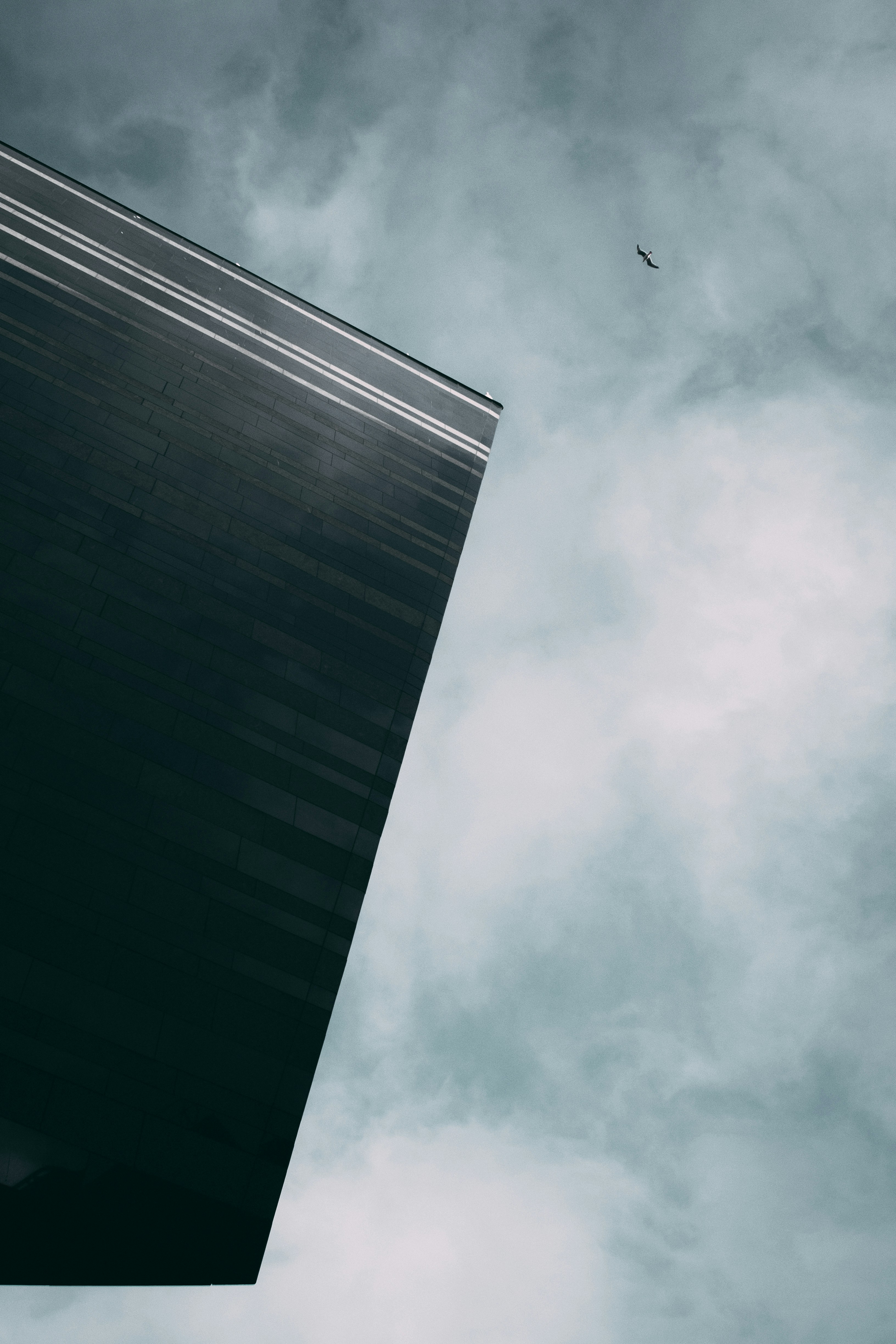 Free Unsplash photo from Anton Ahlström