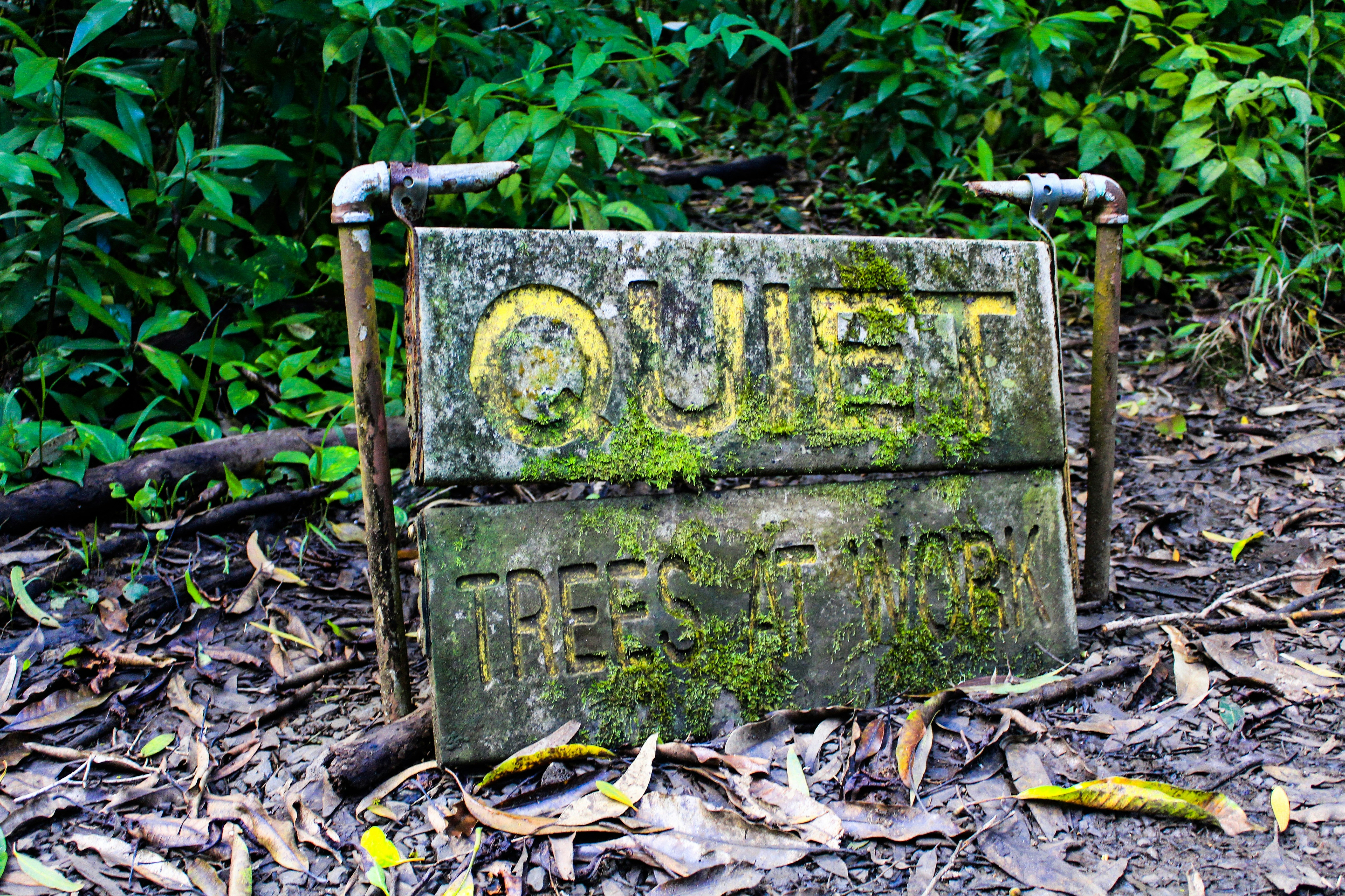 Free Unsplash photo from Eric Vö