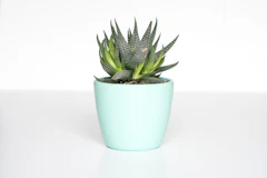 Keramik-Pflanzentopf 18 cm, mattiert