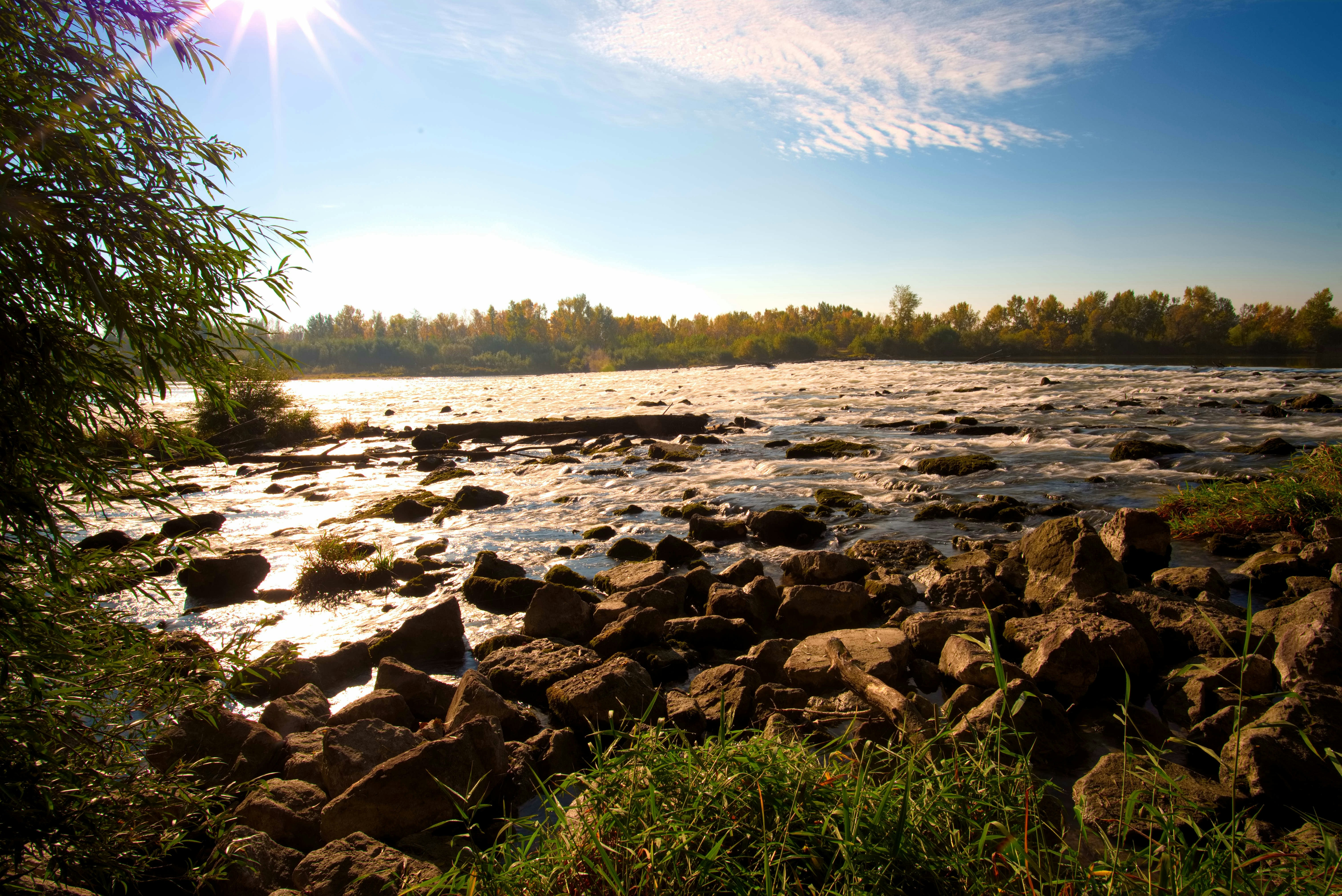 Free Unsplash photo from Katherine Gomez