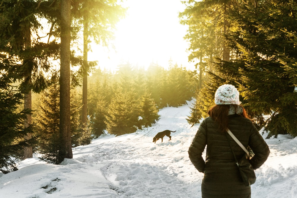 person standing on snow covered forest watching dog