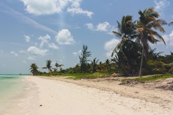 A serene beach scene featuring a stretch of white sandy shoreline bordered by lush greenery and tall palm trees. The turquoise sea gently laps against the shore under a sky dotted with fluffy white clouds.