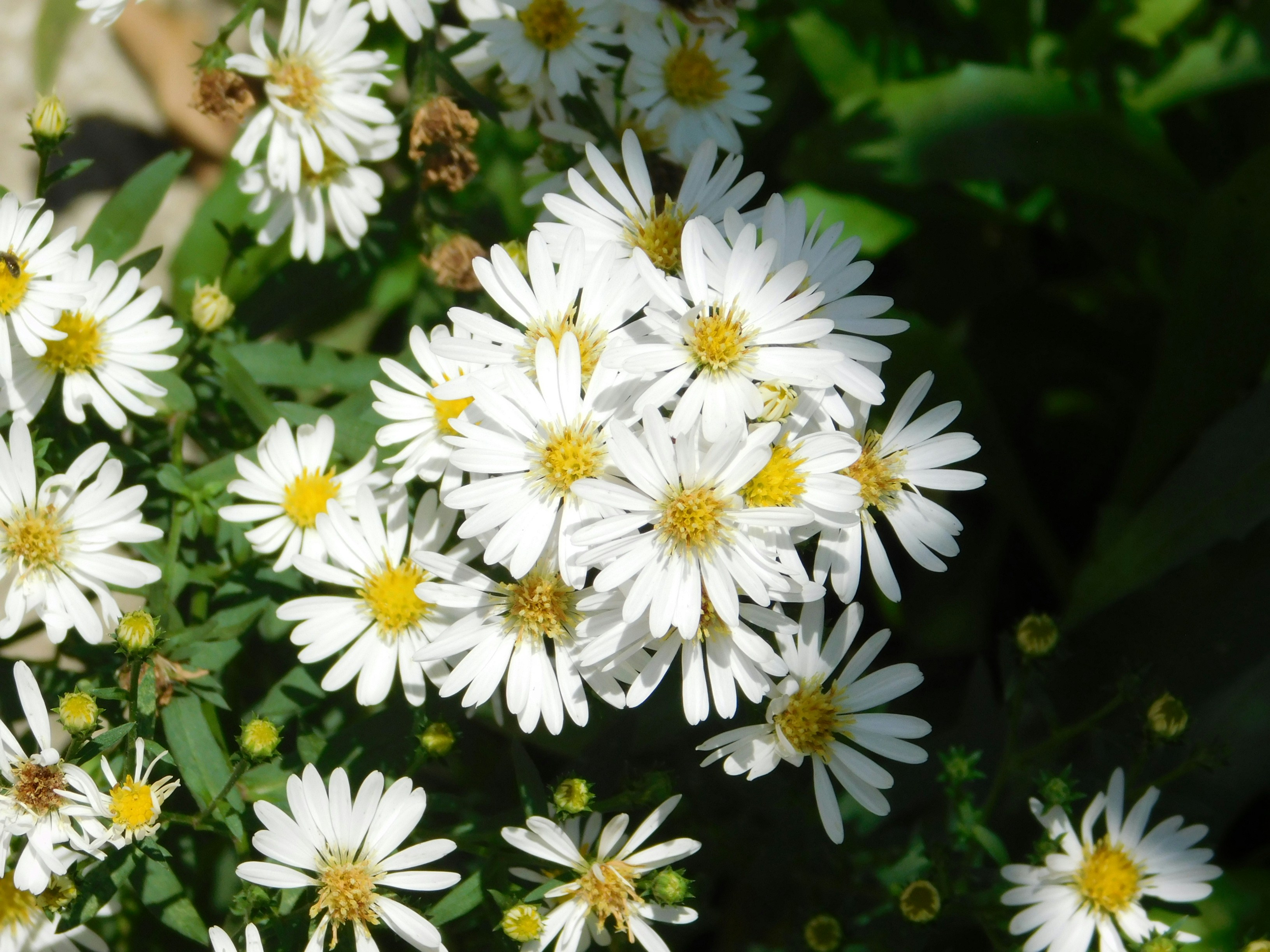 Free Unsplash photo from Hosana Rodrigues