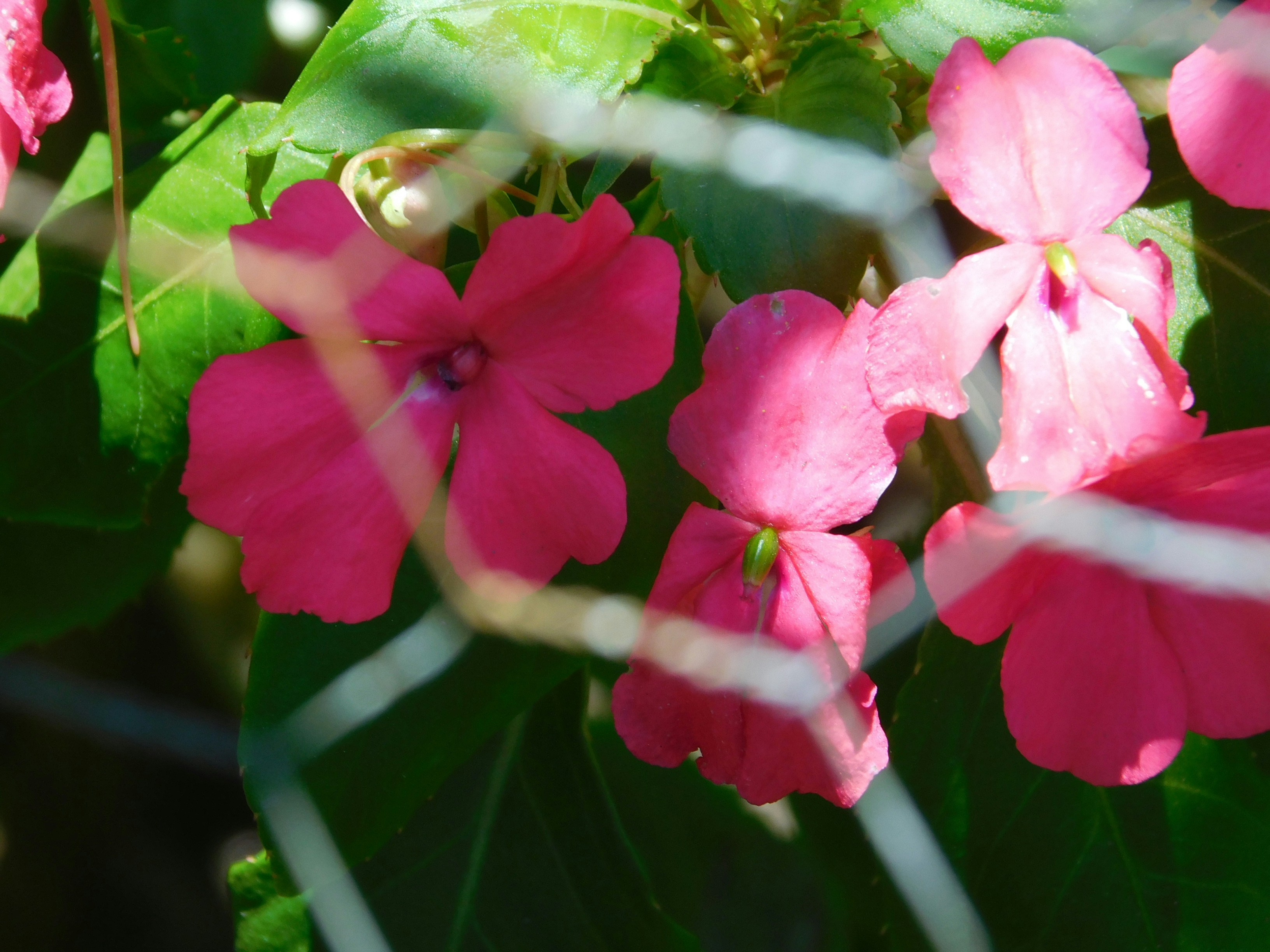 Free Unsplash photo from Hosana Rodrigues