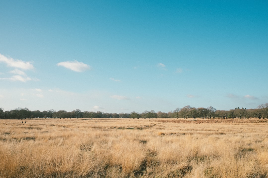 Plain photo spot Richmond Park Seasalter