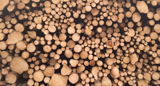 brown log lot at daytime