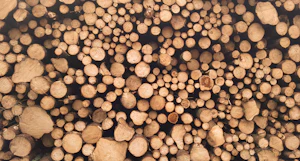 Wood & Paper conveyor belt duty