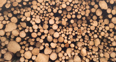 Conveyor belts for Wood & Paper