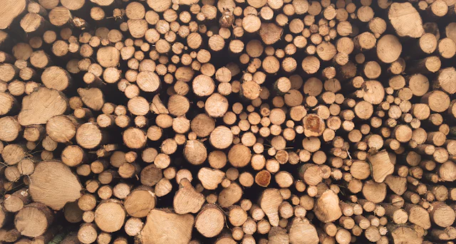 Wood & Paper
