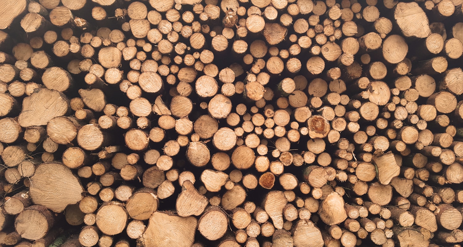 Lumber and Building Materials Store