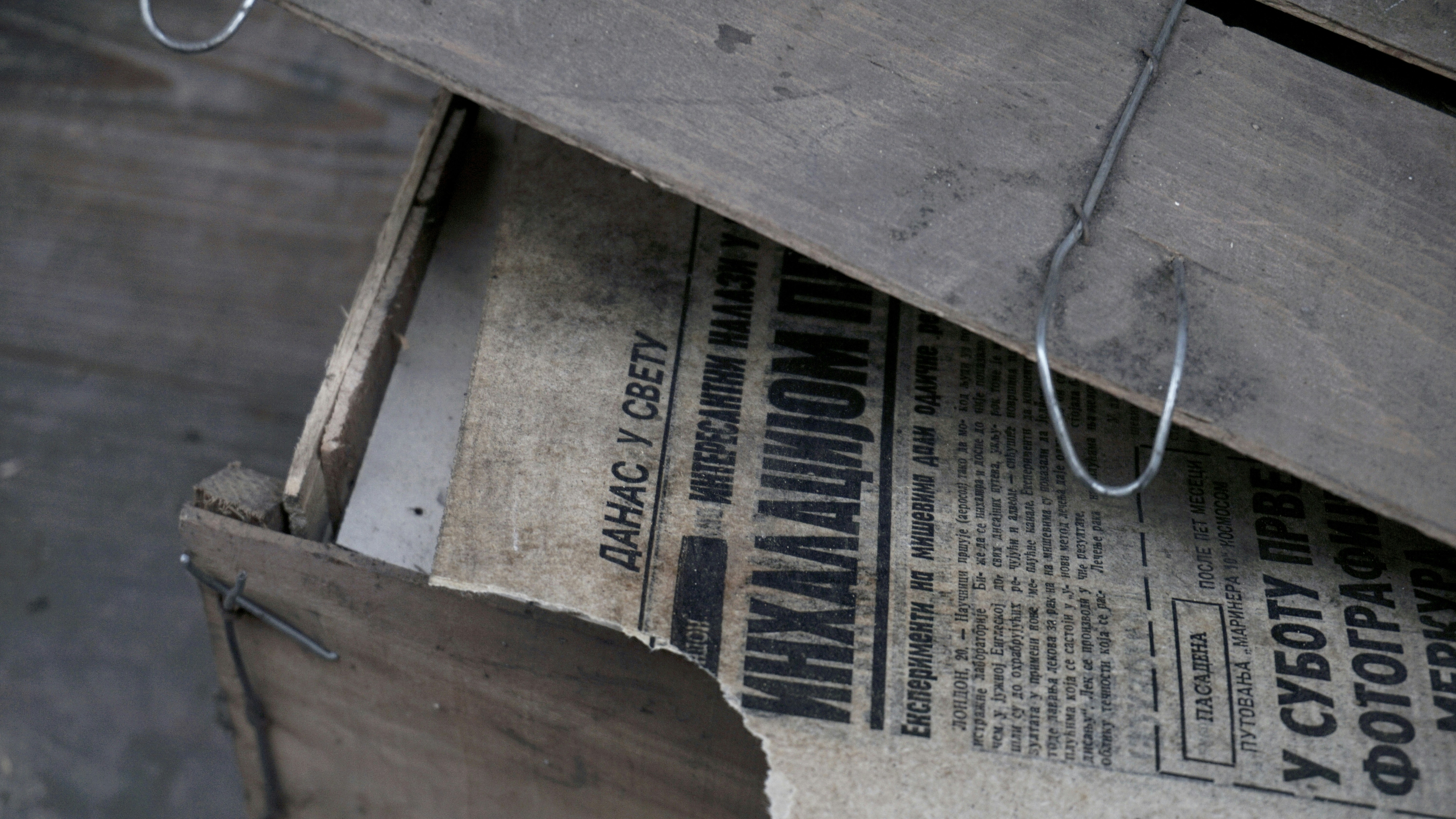 Free Unsplash photo from Nik Lorbeg