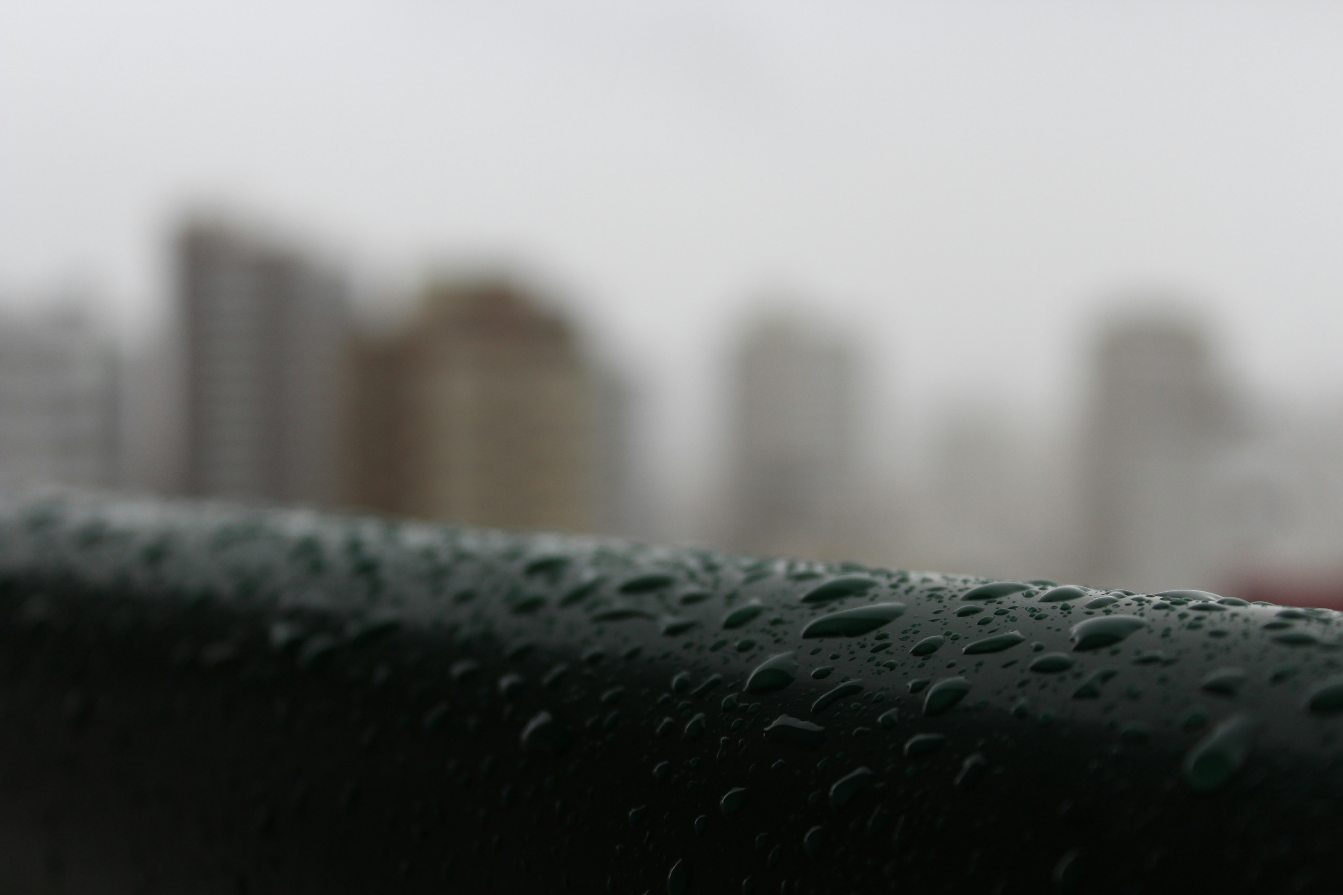 Free Unsplash photo from Pedro Rodrigues