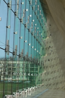 Large glass windows supported by metal brackets form a modern architectural facade, allowing an outside view of a park and buildings. The interior wall curves gracefully, casting intricate shadows on the floor.