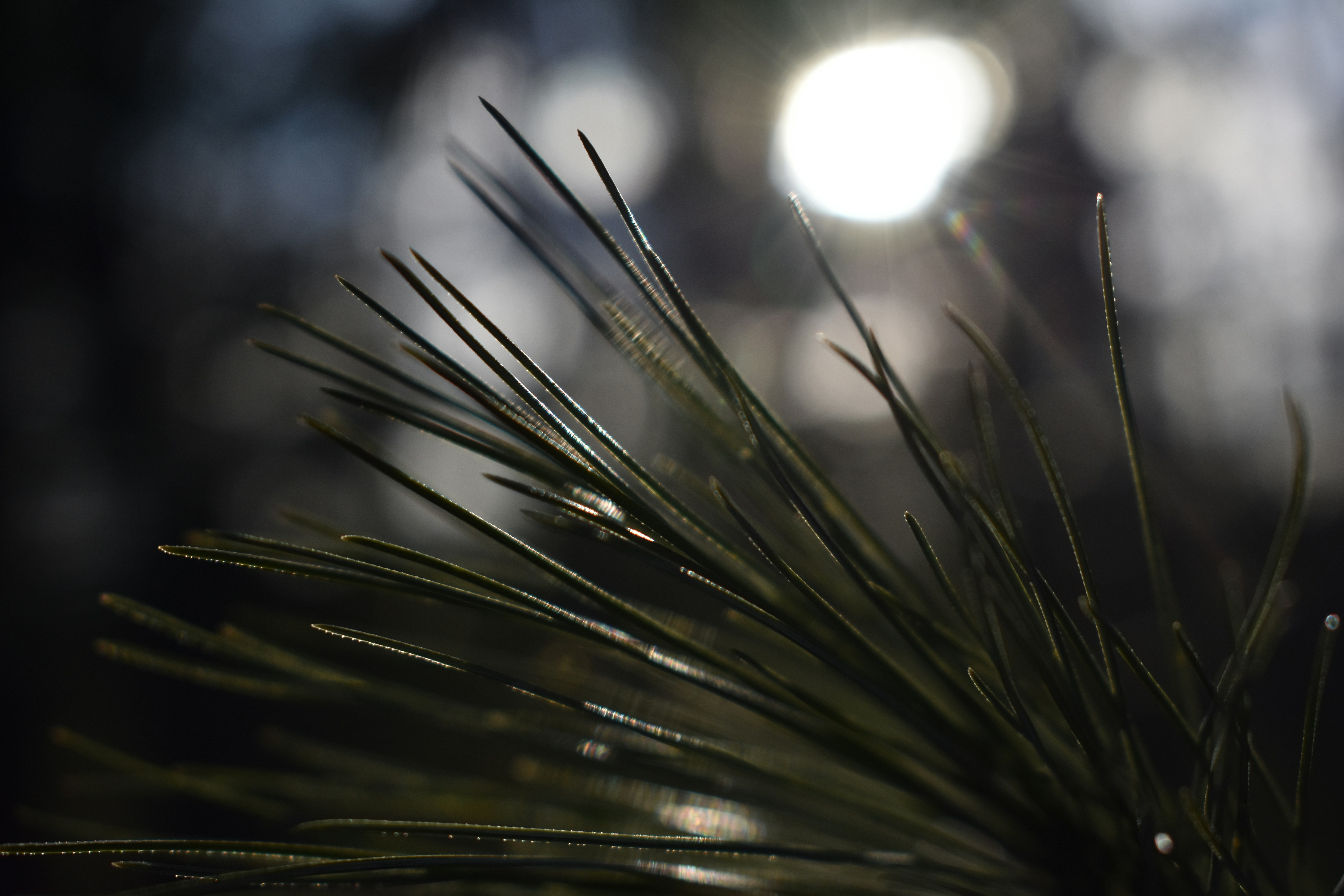 Free Unsplash photo from Sydney Bertram