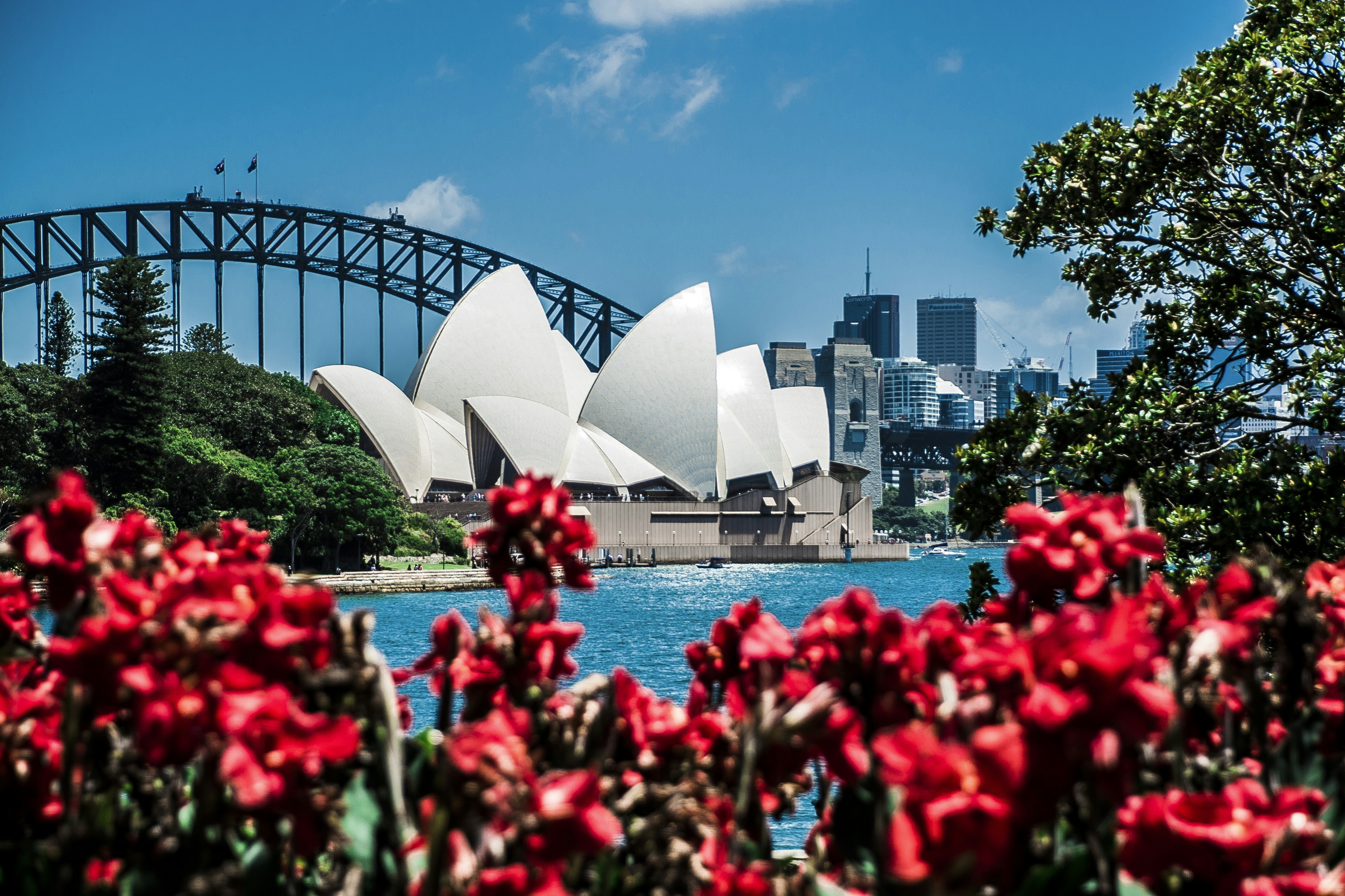 Free Unsplash photo from Enrico Carcasci