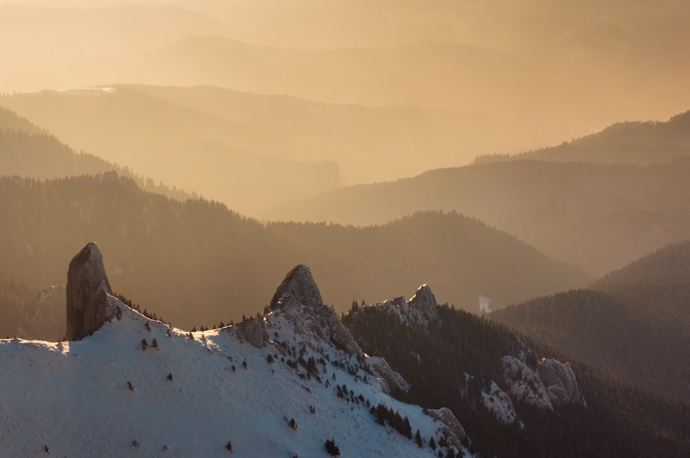 Des montagnes enneigées couvertes d’arbres